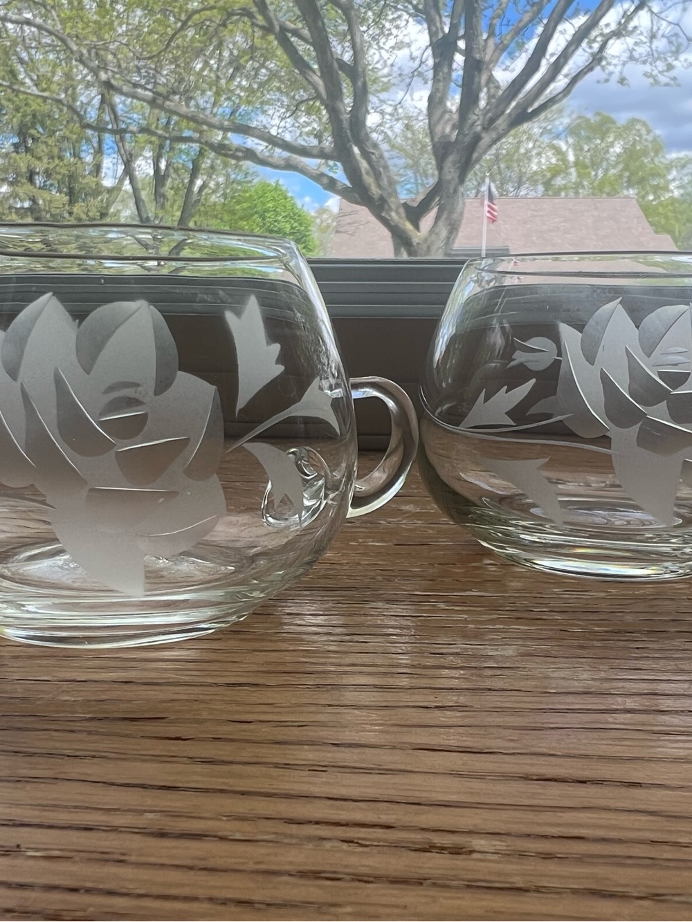 Vintage 70’s rose etched glass poly creamer and sugar bowl set MCM